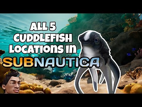 All 5 Cuddlefish Egg Locations! SUBNAUTICA