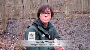 What is Skunk Cabbage and why is it important? Watch this new video from Rocky River Nature Center and find out! | Cleveland Metroparks | Facebook
