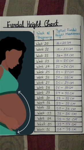 Fundal height chart # ____ week of pregnancy ______ # _____Typical fundal height measurement ______#