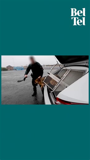 The Belfast Telegraph got an exclusive look behind the scenes of the PSNI dog unit at Steeple Station in Antrim where they have recently installed brand new kennel facilities. 🐶https://tinyurl.com/tmxudeu6 | Belfast Telegraph