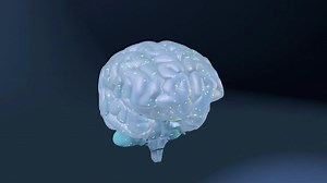 Therapeutic Hypothermia 4 | NOVA