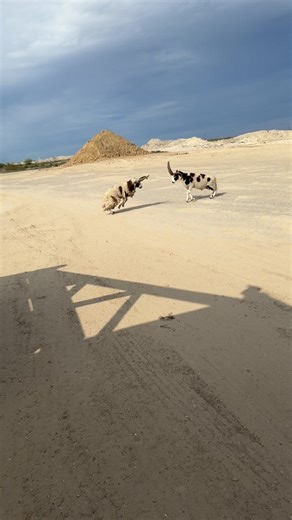 Well that just happened lol