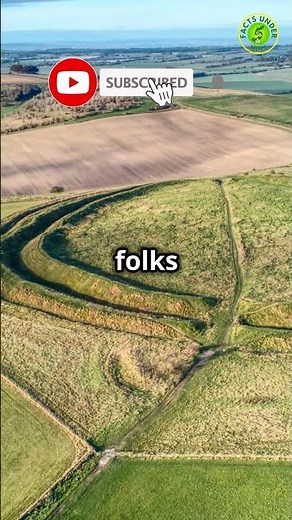 What Are Crop Circles & Why Do They Captivate Us? Unveiling the Mystery