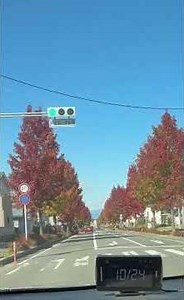 景色の良いとこ行ってみた。