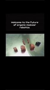 Welcome to the future of organic modular robotics. #technology #robotics #scary #future #tech #foryoupagereels | JM Zakaria