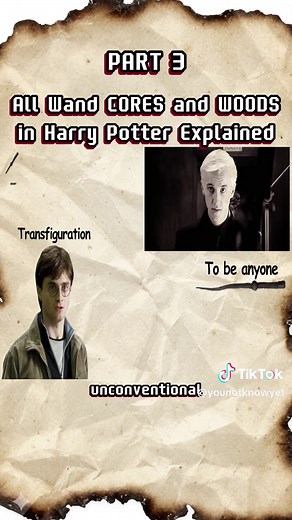 Elder Wand & Wand Woods Explained: Vine, Willow, Hawthorn, Hornbeam