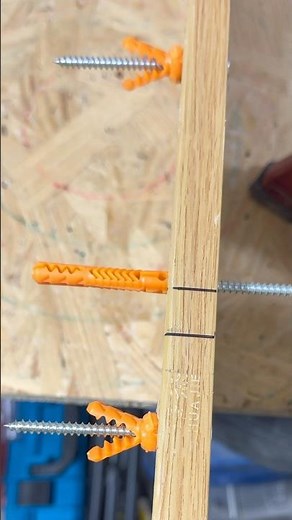 Expansion Anchor Bolt – Strong & Secure Fastening Inside Hollow Wood! 🔩🪵