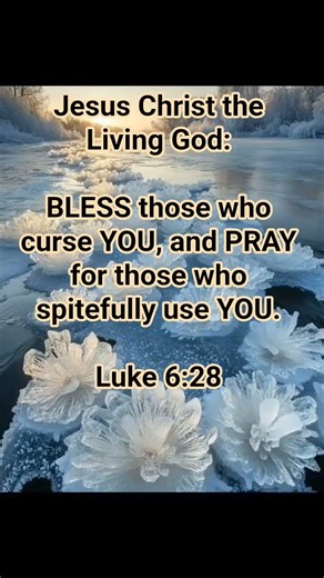 Luke 6:28