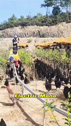 105K views · 1.1K reactions | Whoever invented this way of feeding chickens is absolutely a genius! #documentary#engineering #farm #farmlife | Reels Media | Facebook