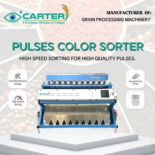 Best Pulses and Grains Color Sorter At Carter Unique Group