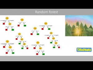 Random forest classification - simply explained
