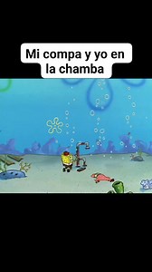 1.3M views · 47K reactions | Bon Esponja momentos divertidos #pyfツ #bonesponjamemes #foryouシ #bobesponjacapituloscompletos #bobesponja #pyf #patricioestrella #caricaturasdelainfancia #infancia | Series,Clips, Programas y más | Facebook