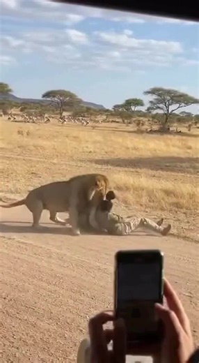 John Wick (@john.wick5941)’s videos with original sound - John Wick