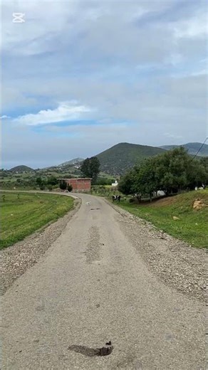 Majestic Nature & Mountain Escape 🏔️✨”جمال الطبيعة وسحر الجبال 🏔️✨