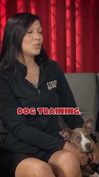 The Difference Between Obedience Training & Behavior Modification🐶