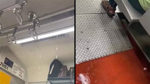 Viral Video: No Respite for Mumbai Local Train Commuters As AC Drips Water