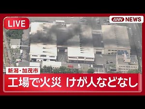【緊急ライブ】東芝ホームテクノの工場で火災 新潟・加茂市 現場空撮 午後1時半ごろの様子【LIVE】(2026年6月16日) ANN/テレ朝