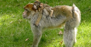 Video by Anthony 🙂 on Pexels