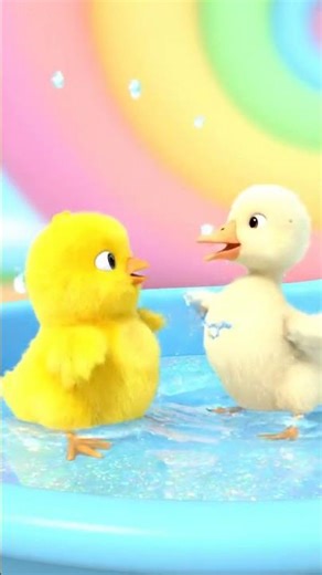 Two Ducks Water Fun 😂🦆💦 | Cute Duck Comedy Video | Viral Animal Short