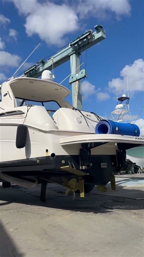 Sea Ray Sundancer 510 Survey/ Sea Trial/ Haul out
