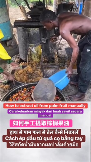 8.9K views · 23 reactions | How to extract oil from palm fruit manually. | Santai Streaming | Facebook
