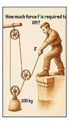 How Much Force Is Needed to Lift 100 kg? | Pulley System Physics Problem #shorts #trending