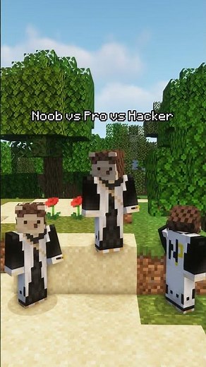 Noob vs Pro vs Hacker Minecraft