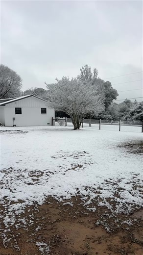 Time to get into the woods tonight#alabamasnow #snowday2026 #bluecollarlife #fyp