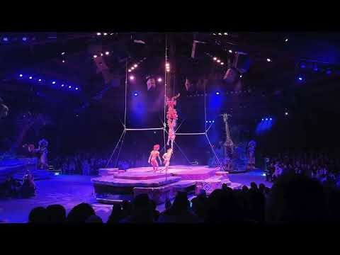 Disney’s Festival of the Lion King