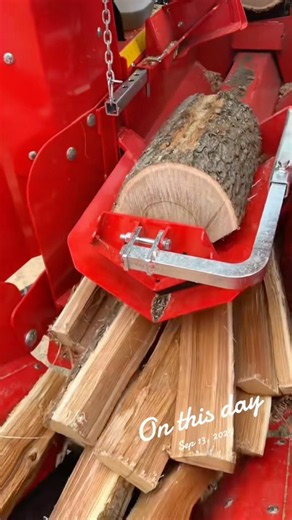 It’s not pine, so what is it? 🌲🪵 #firewood #hardwood #logging #woodheat #forestry