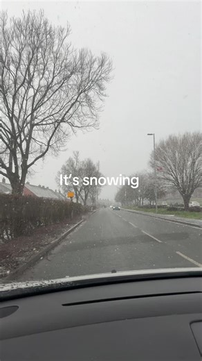 lynn (@lynnfagan68)’s videos with original sound - Dixie Moon Rider