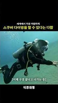 한국보다 반값이상 저렴한 이집트 다합의 스쿠버다이빙 #식갱여행