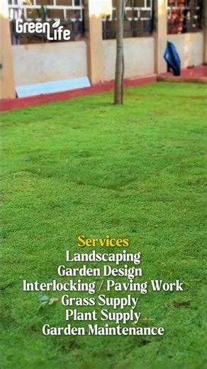 Australian grass | Landscaping | Jaffna | Sri Lanka