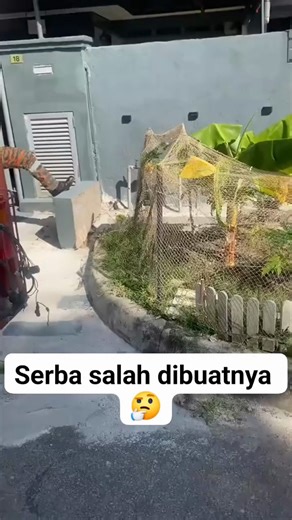 1.4K views | Haa. Kan da kena. Dengan tuan rumah nk… read--mor.re | Resepi Bujang | Facebook