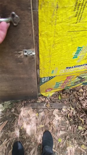 Exploring Sabong: The Passion Behind Cockfighting