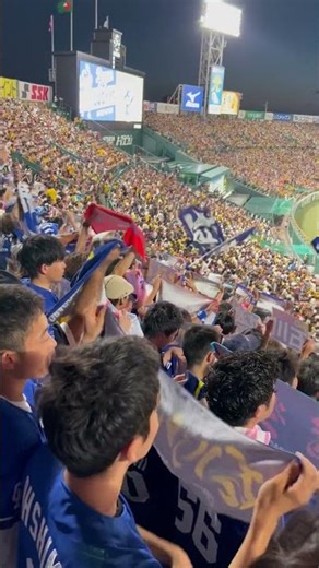 燃えよドラゴンズ！激アツビジター応援！チャンテ📣中日甲子園！2023.7.16