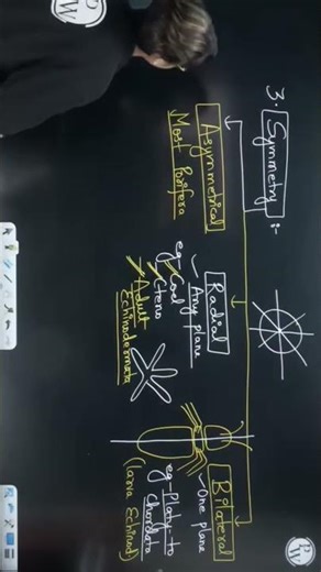 by guru maa #music #biology #changeyourmindsetchangeyourlife