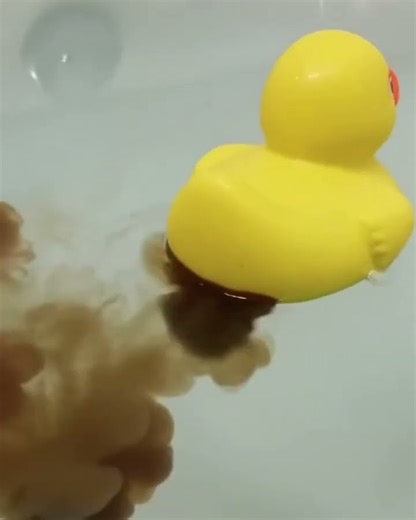 Rubber Duck Ruins Bath Time With Diarrhea!