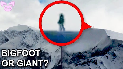 76K views · 2.3K reactions | You Won't Believe These Weird and Creepy Videos | Slapped Ham | Facebook