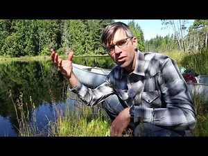 Bog Flora of the Pacific Northwest
