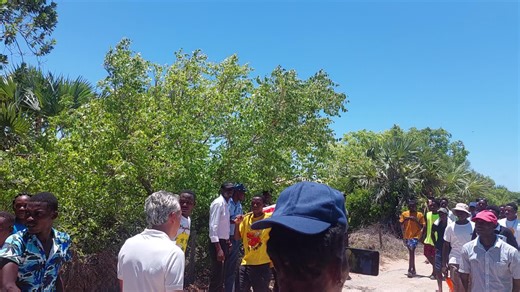 Outdoor Group Discussions in Lush Greenery