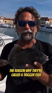 3.3M views · 54K reactions | Everything you need to know about the...