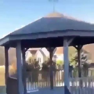 Professor Meme's Posting Services on Reels