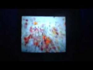 Arthur Funding Credits (1999)