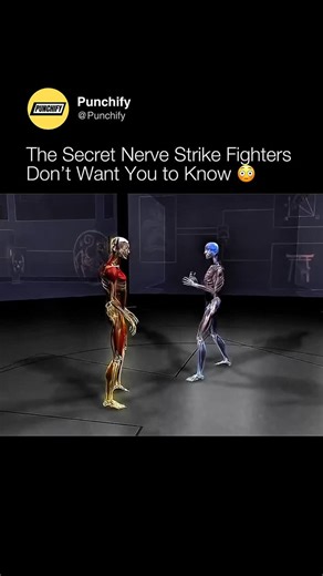 A nerve strike is a targeted blow to a sensitive nerve point that temporarily disrupts muscle control or causes sharp pain, giving you a quick advantage with minimal force. | Punchify