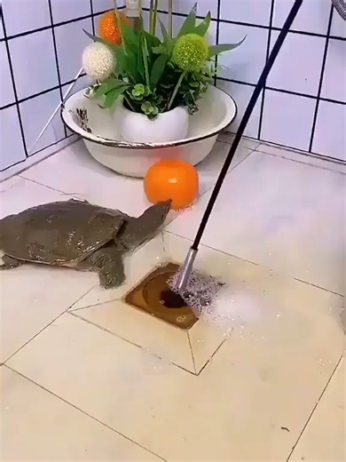 Bendable Hose Pickup Aid Tool for Trash Pickup, Home Sinks, Drains, Toilets, Flexible Gripper Picker Tool with 4 Claws (78.74 Inch)