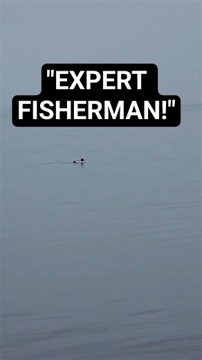 Meet Donald: Expert Fisherman #shorts #spring #story