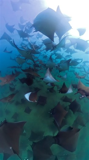 4.6K views · 126 reactions | Witnessing the mesmerizing vortex of...