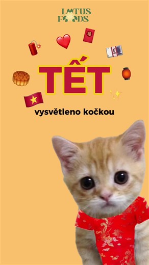 Blíží se lunární Nový rok a.k.a. Tết 🇻🇳🧧 Chceš si objednat speciality zmíněné ve videu? Napiš nám do DM „TET“ a pošleme ti víc info! 📍 Lotus Foods, Trnitá 542/18, 602 00 Brno #brno #lunarninovyrok #tết #kočka #viral