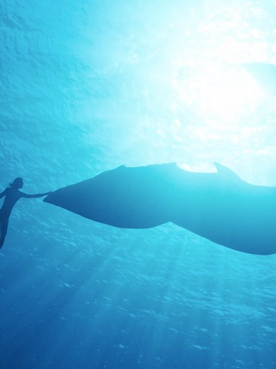 🌊🐋💙 #AvatarTheWayOfWater